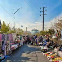 همکار جهت فروش کفش