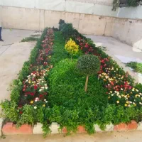 تیلر زنی. باغچه کاری. باغبانی. هرس کاری. نهال