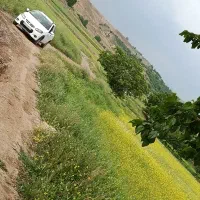 کوییک ساده معاوضه با ساینا تیبا