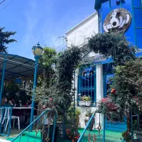 به چند کارآموز آشپزی فرنگی نیازمندیم