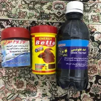 آکواریوم|لوازم جانبی حیوانات|سقز, |دیوار