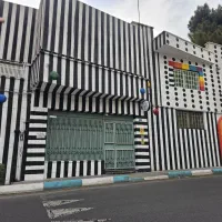 نیروی خدماتی خانم