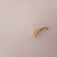 گوشواره طلا گم شده