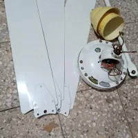 پنکه