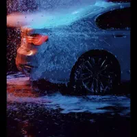 نیروی کارواش