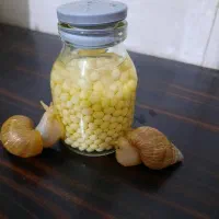 تخم حلزون