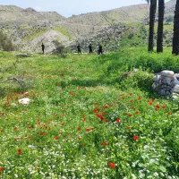 فروش زمین بهارستان