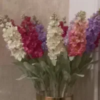 گلهای  سنبل خارجی نو