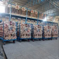 قالیشویی پیشرفته گلرنگ