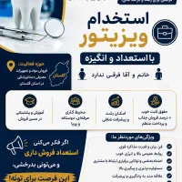 استخدام ویزیتور