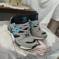zx 8000