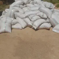 سبوس گندم دامی