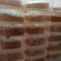 عسل کردستان