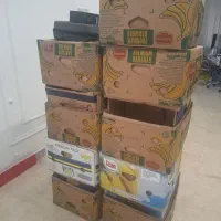 کارتن موزی اسباب‌کشی