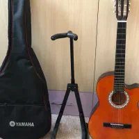 گیتار دیاموند