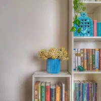 دروس خصوصی