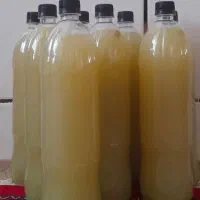 آبغوره داراب