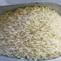 برنج هاشمی درجه یک / به شرط پخت/ گیلان