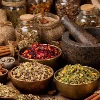 جذب نیروی. خانم. جویای کار درخانه