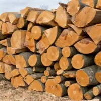 خریدار چوب به بالا ترین قیمت