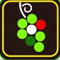 استخدام پیک موتوری تمام وقت