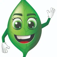 استخدام خانم صندوقداری سبزی ریحان