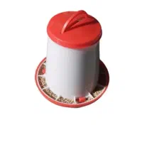ظرف دان مرغ
