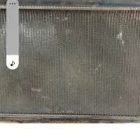 رادیاتور۲۰۶ اس دی