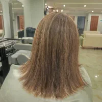 رنگ و لایت