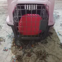 باکس سگ