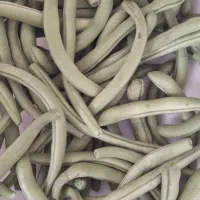 لوبیا سبز