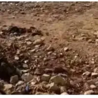 فروش زمین(معاوضه با خودرو)