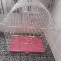 قفس بزرگ