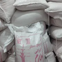 برنج طارم درجه یک دشت دیره گیلانغرب