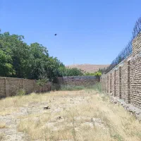 زمین باغی