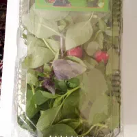 سبزی خوردن پاک شده