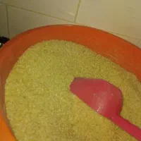 برنج چمپا
