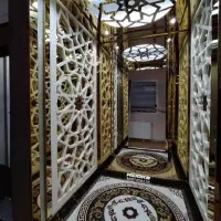 فروش،سرویس،تعمیر آسانسور و بالابر هیدرولیک و کششی