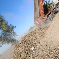 کودمرغ ،کودمرغی زل سالنی درجه یک نقدونسیه.