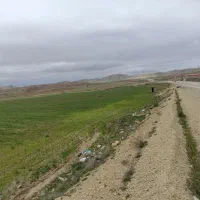 فروش زمین کشاورزی/اردبیل نمین