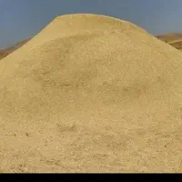 کاه دیم