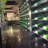 استخدام کافه‌و‌رستوران‌(پولیشر)