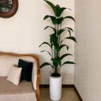 درختچه مصنوعی زیبایی هر خانه