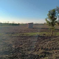 زمین کشاورزی