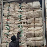 از تولید به مصرف پوشال کولر