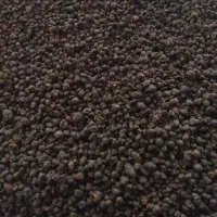 چای کله مورچه درجه اولی عالی