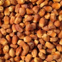 زاهدی