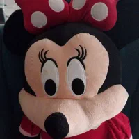 میکی موس پولیشی
