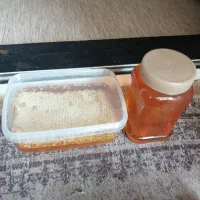 عسل طبیعی خلخال