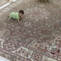 جفت فرش 12متری درحد نو گردویی رنگ